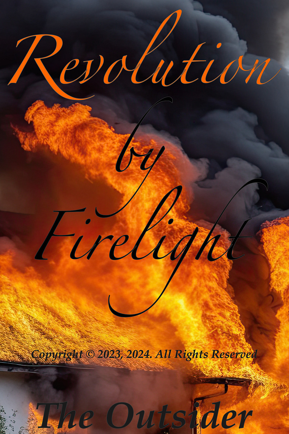 Revolution by Firelight - Cover
